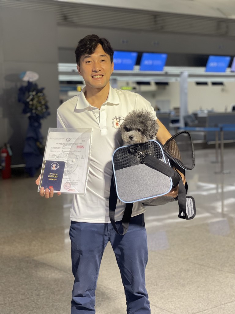 Trực tiếp chăm sóc thú cưng (pet-nanny) trong một chuyến vận chuyển nội địa tại Việt Nam.