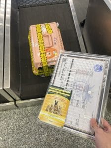 Cat Airport Check In Counter