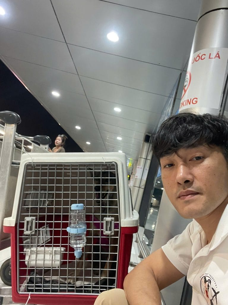 Daisy Pet Staff Checking Crate Compliance