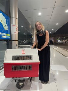 International Customer At Airport With Pet Crate