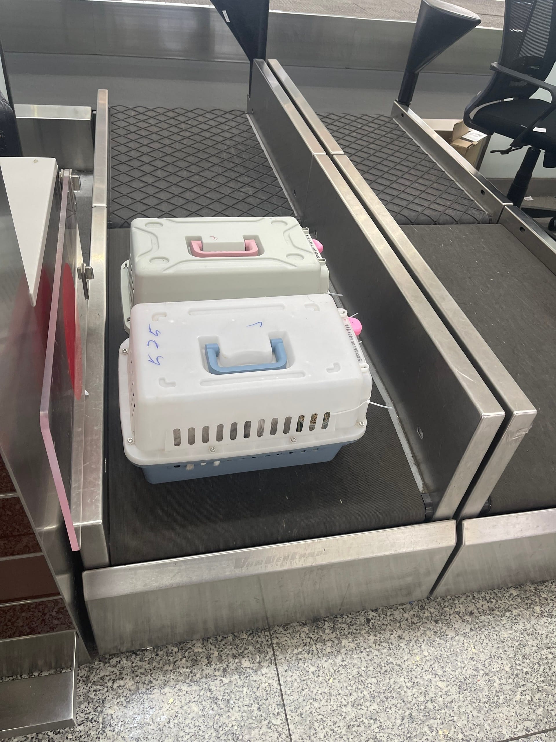 Two pet carriers on an airport check-in belt, ready to fly as checked baggage