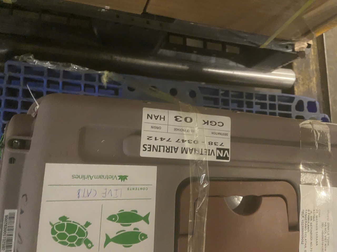 Pet crate handled in the cargo area during manifest cargo shipping