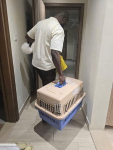 Pet Pickup Service