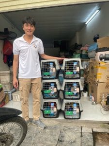 Sphynx Cats Shipping To Taiwan Daisy Pet