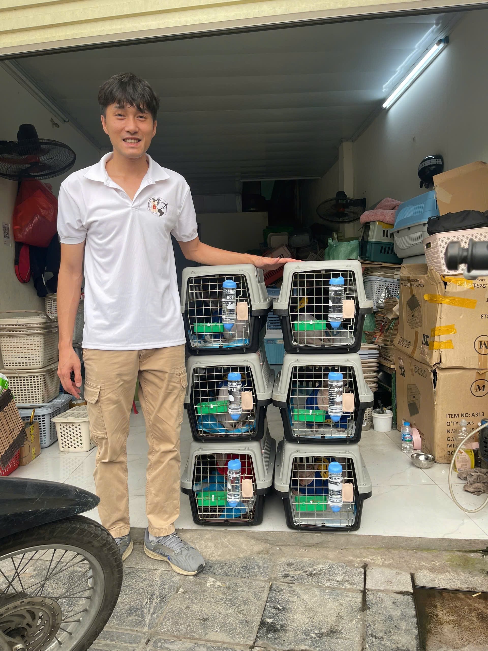 Six Sphynx cats ready for shipping to Taiwan by Daisy Pet Transport