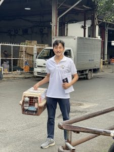 Staff Handling Cat Cargo