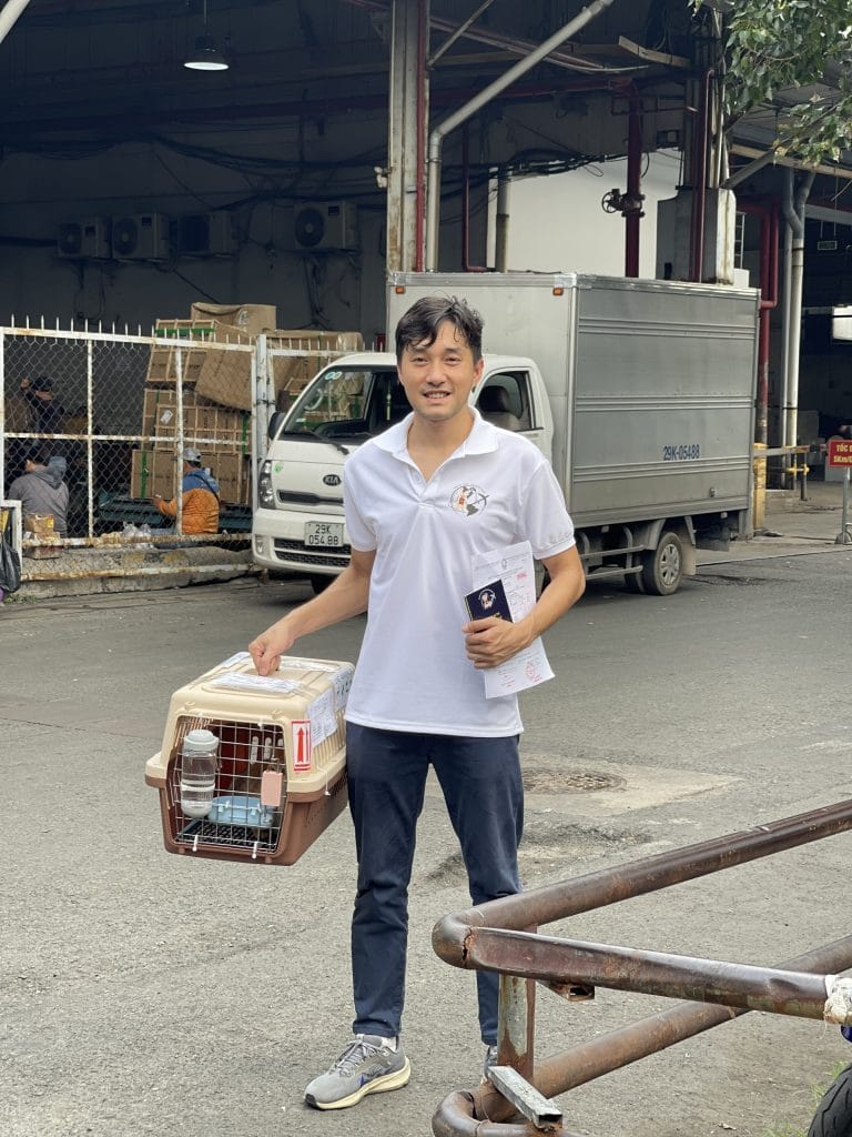 Staff Handling Cat Cargo