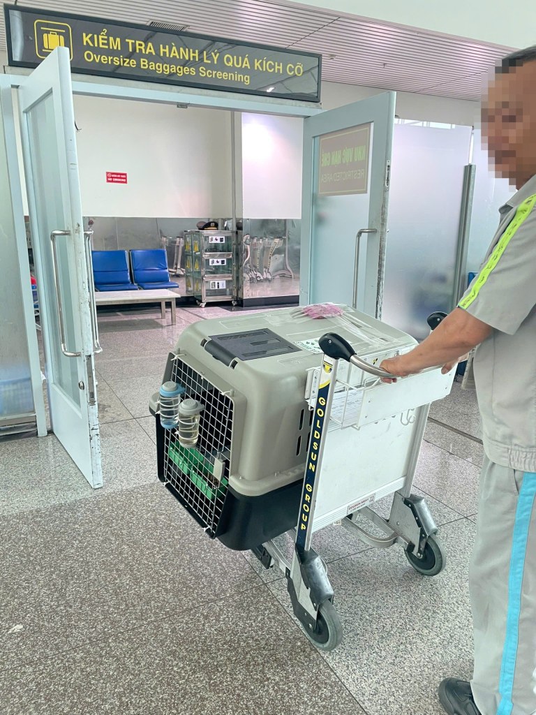 Airline Staff Pet Oversize Baggage Screening