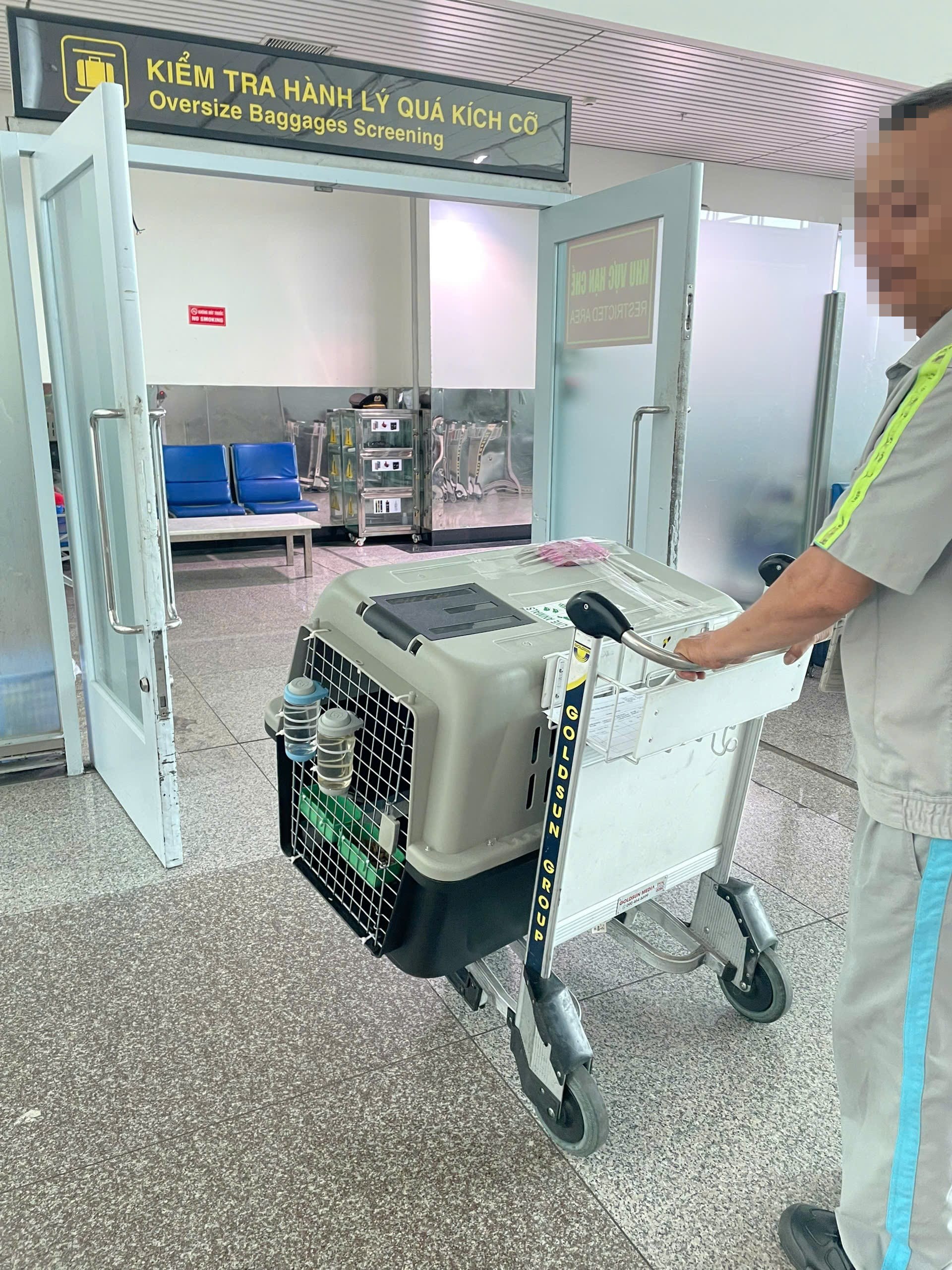 Airline ground staff screening an oversized pet crate at Vietnam airport passenger terminal