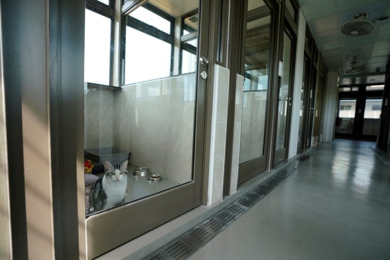 Aqs Quarantine Premise