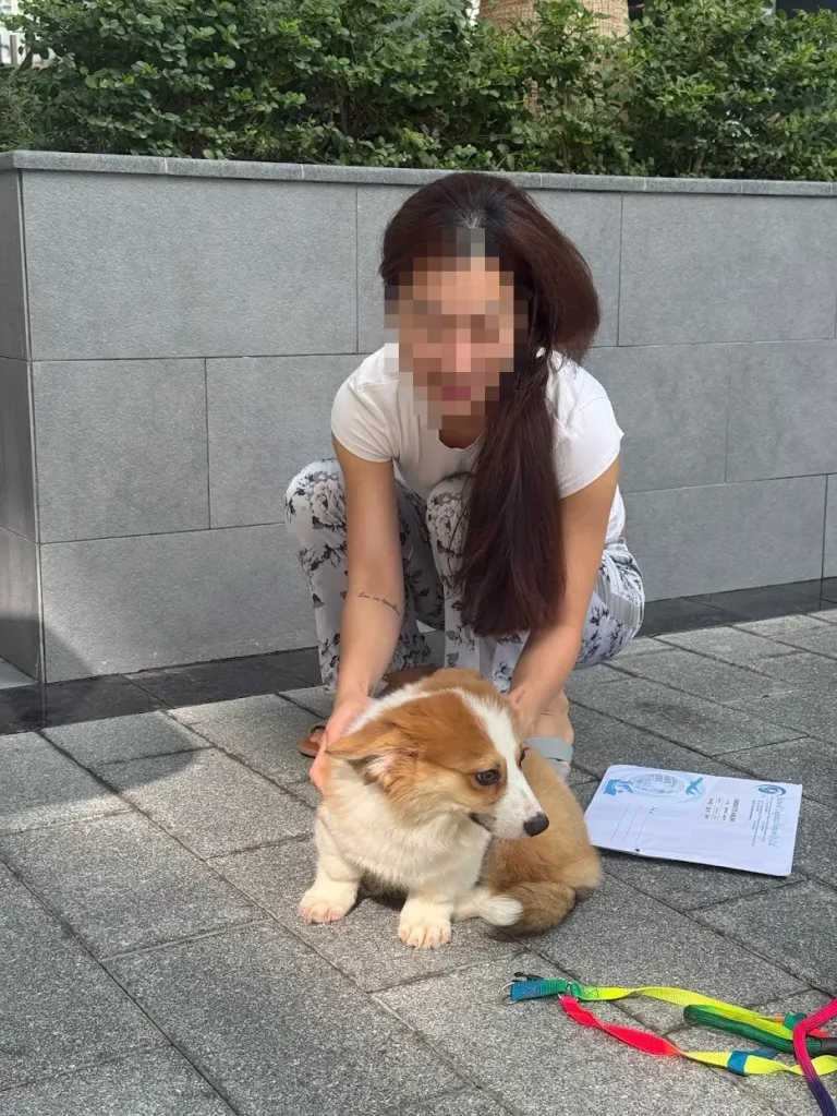 Daisy Pet Transport Google Review Pet Relocation 01 Jpg
