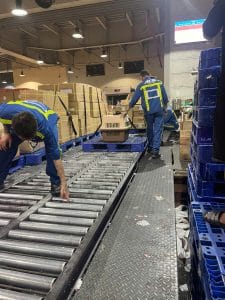 Dog In Cargo Warehouse