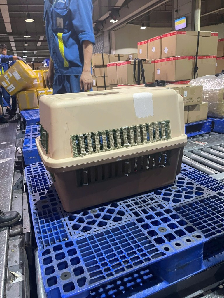 Lồng thú cưng trên pallet trong kho hàng hóa sân bay
