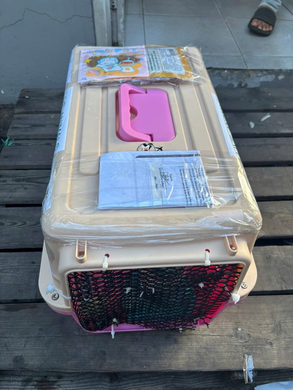 IATA compliant dog crate at an airport cargo terminal before a flight from Vietnam to Brazil