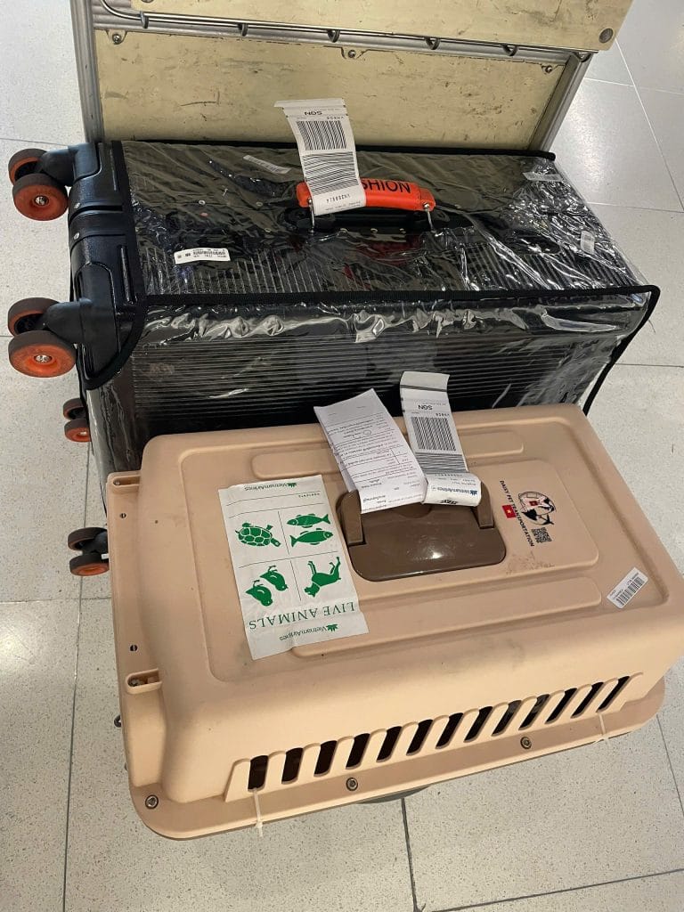 Pet Airport Departure