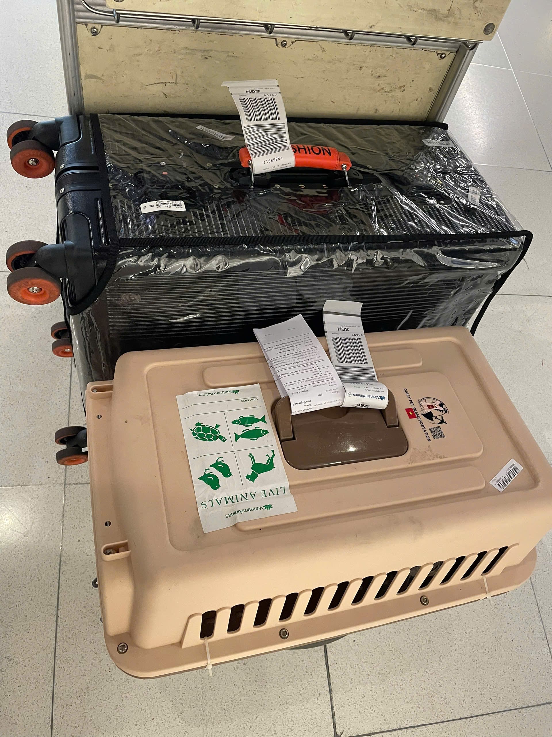 Pet loaded as manifest cargo at Tan Son Nhat Airport for long-haul flight to Canada via Asian hub