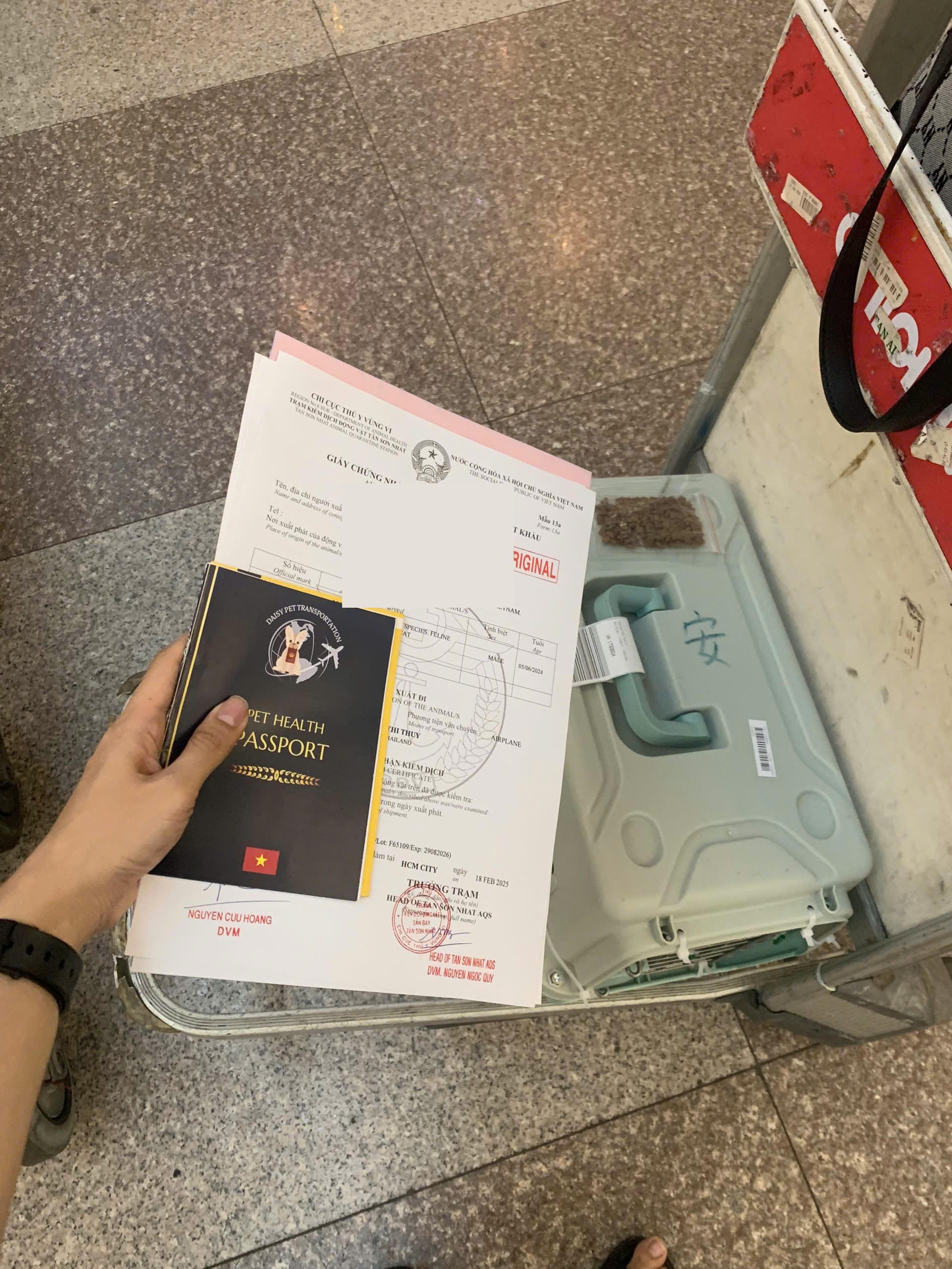 Pet crate loaded as manifest cargo at Tan Son Nhat Airport SGN for international flight to Canada via Asian hub