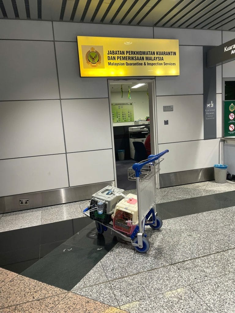 Pet Airport Quarantine Inspection