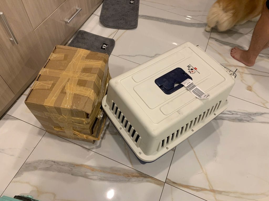 Pet Delivery Customer House