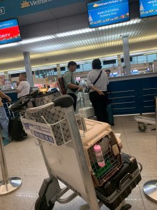 Pet In Airport Terminal