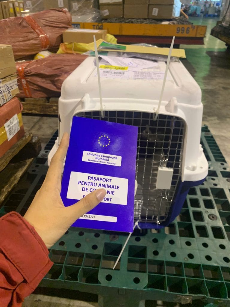 Pet In Cargo Warehouse Facility