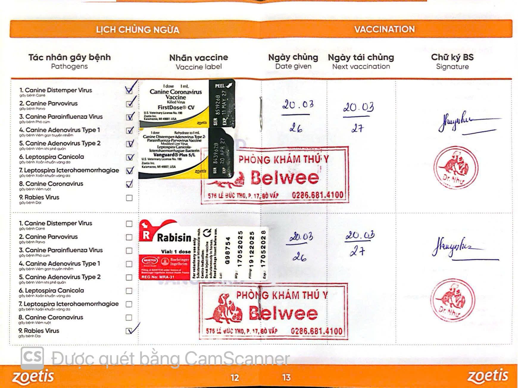 Pet vaccine record booklet with the rabies vaccination date used to plan a Brazil pet import