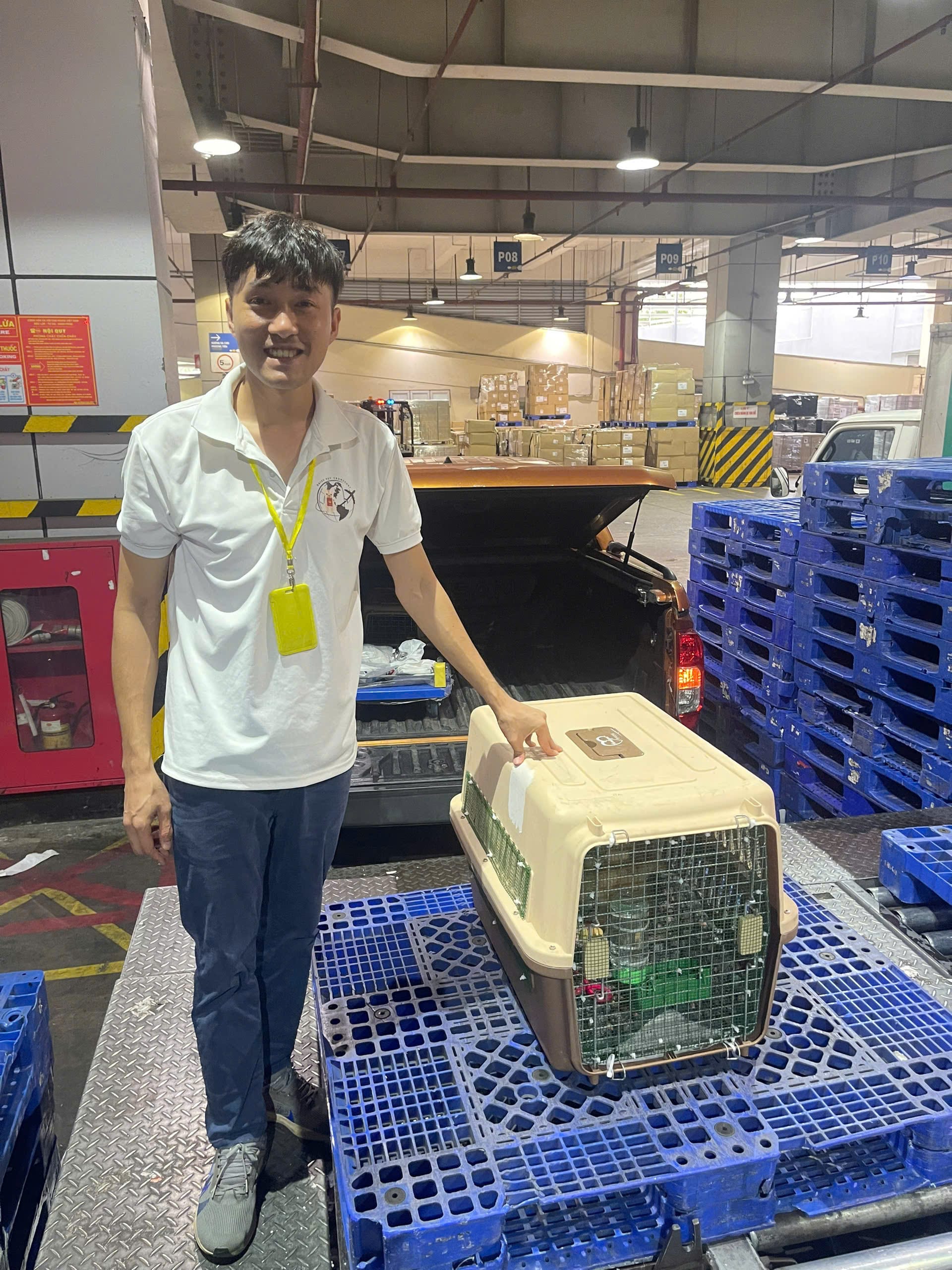 Daisy Pet Transport professional staff carefully handling a pet's travel crate at the cargo warehouse