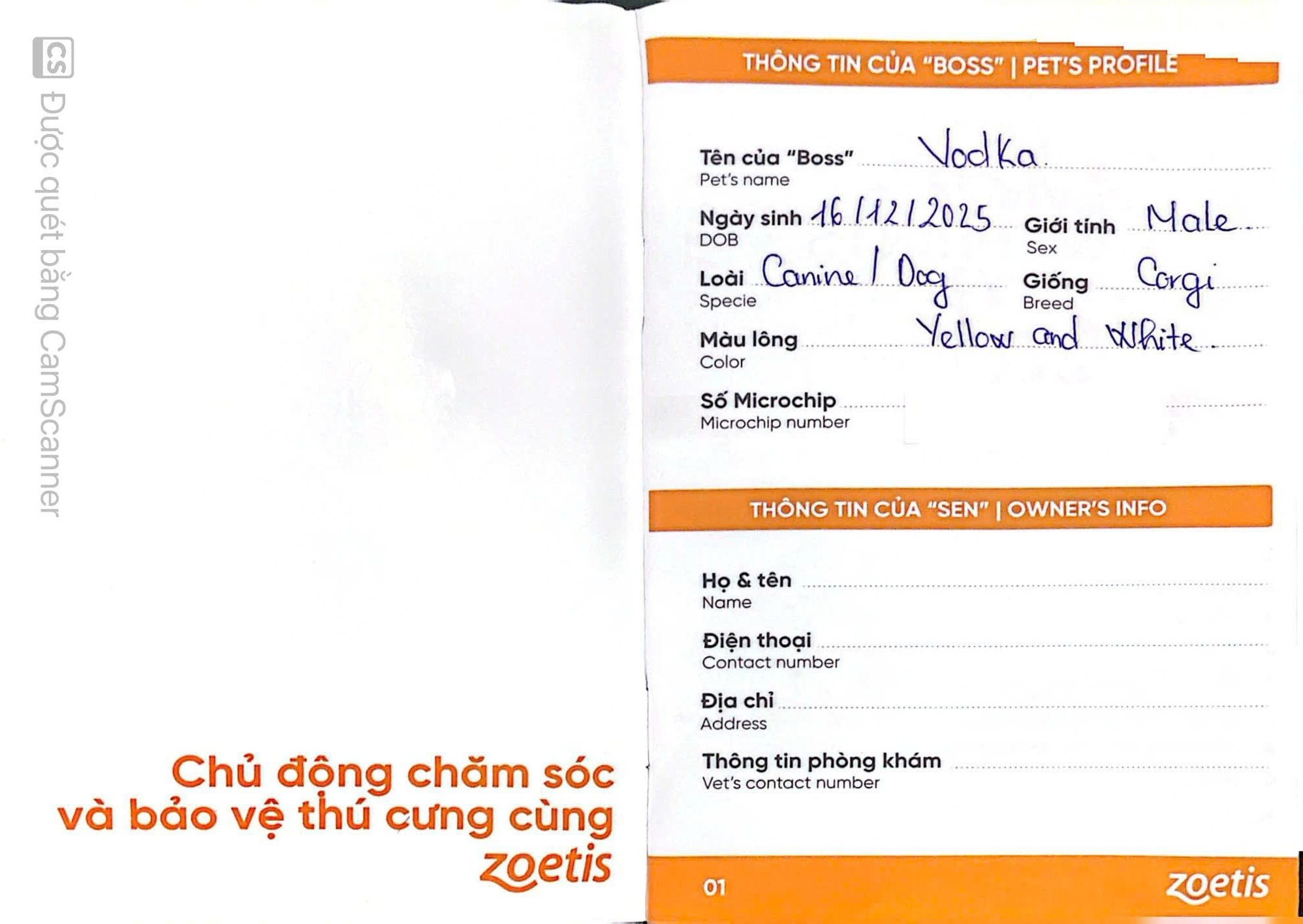 Vodka the Corgi's vaccination record showing pet profile, microchip number and rabies vaccine details