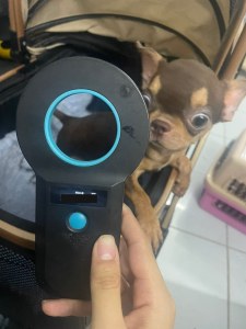 Veterinary Pet Microchip Scanning