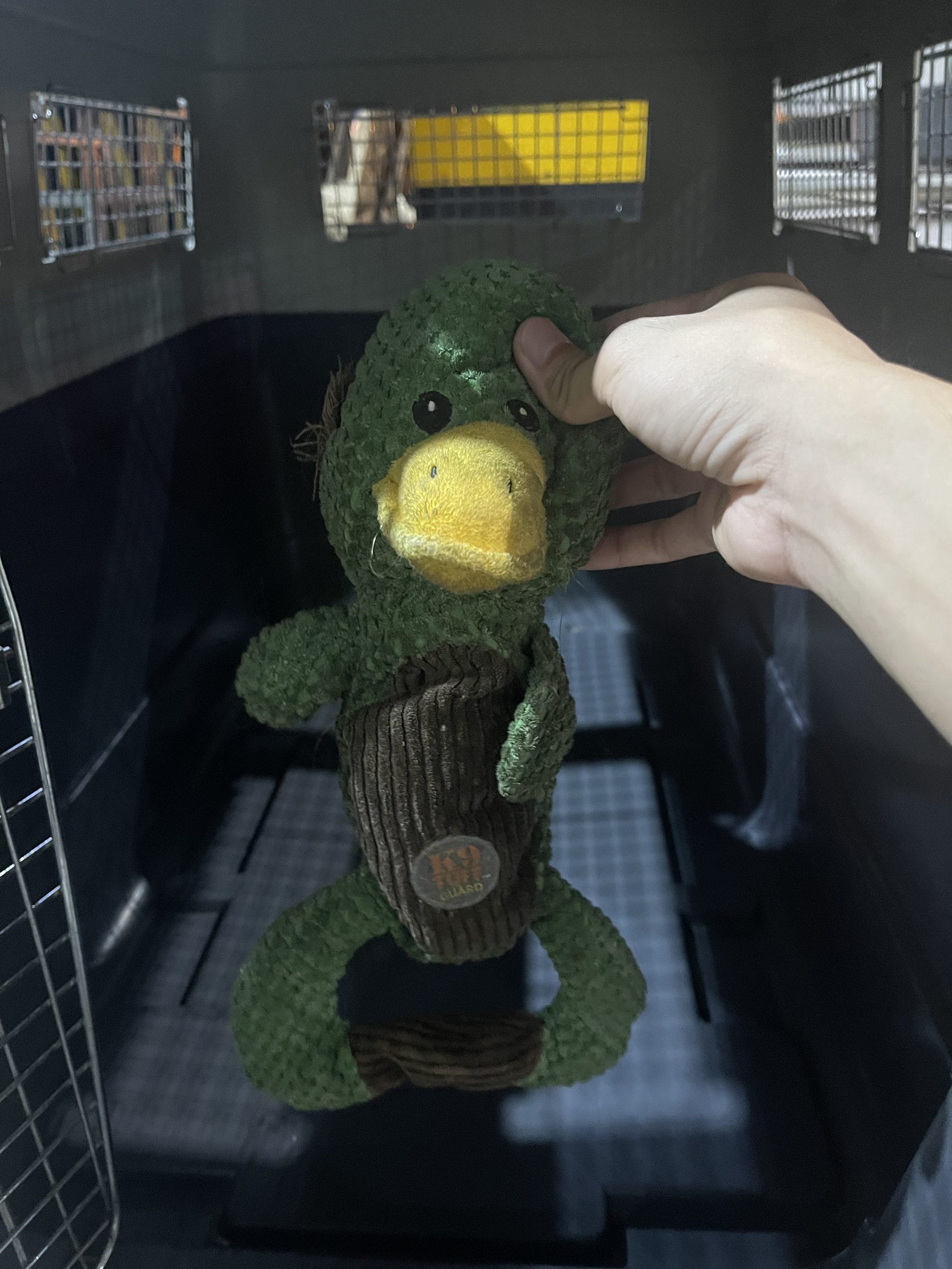 Familiar comfort toy placed inside an IATA travel crate