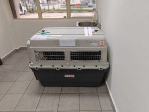 Iata Crate Live Animals Label Aqc Singapore