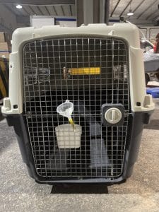 Iata Travel Crate Large Dog Door Closed