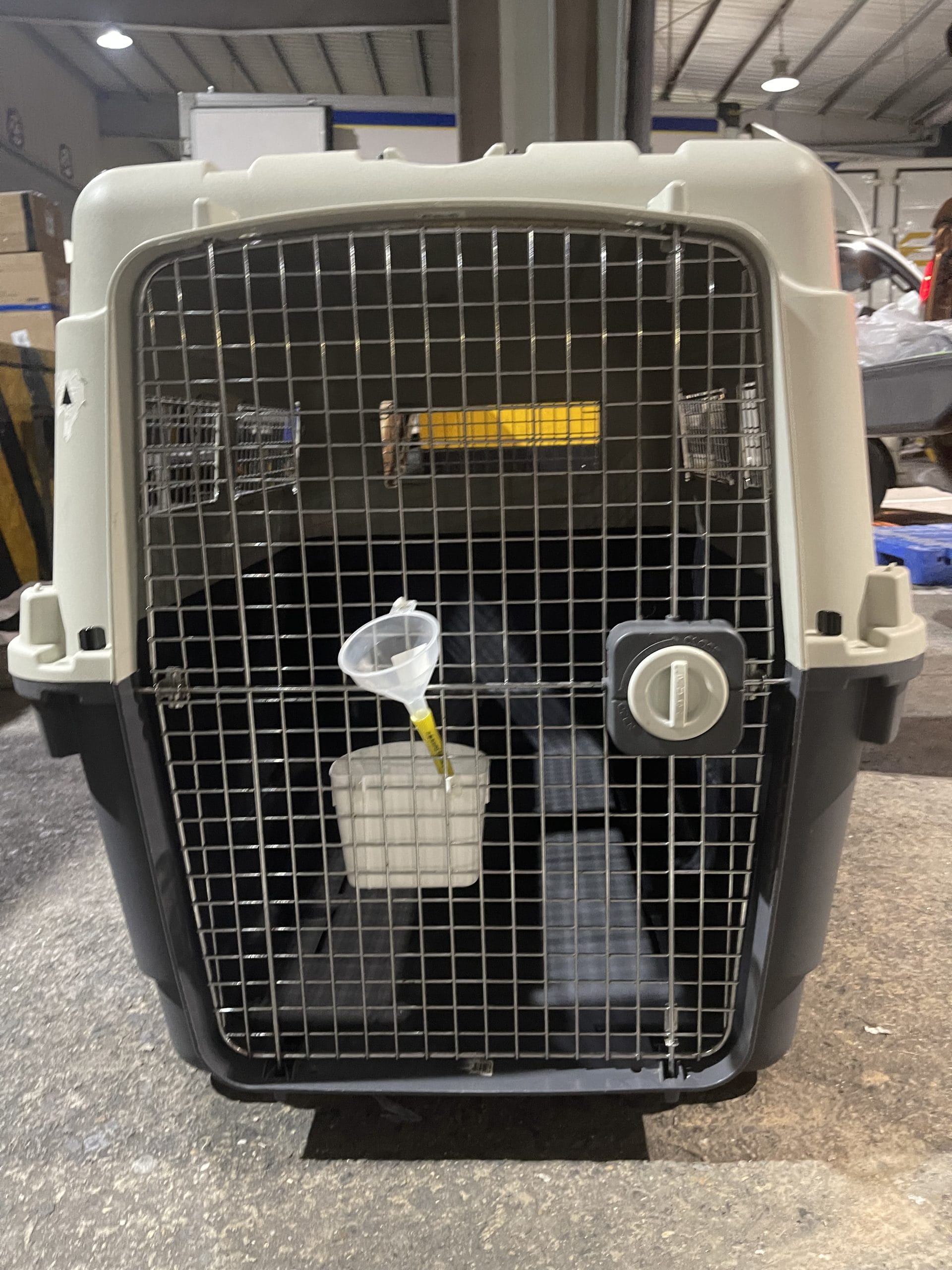 Front view of an IATA-compliant crate for a large dog, water and food dishes attached to the door, ready for flight day
