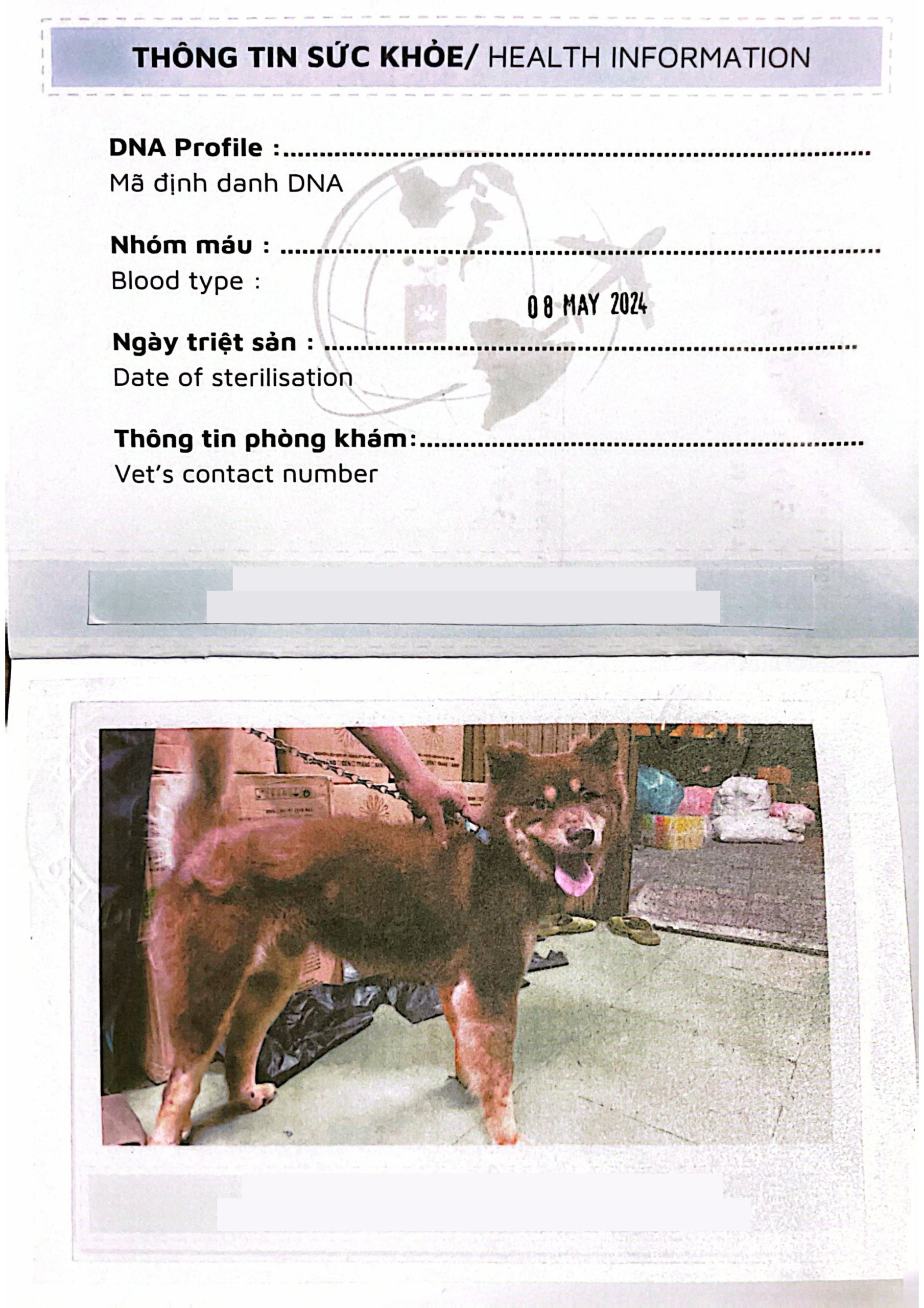 Pet passport identification page recording the pet's microchip number, breed, and owner details