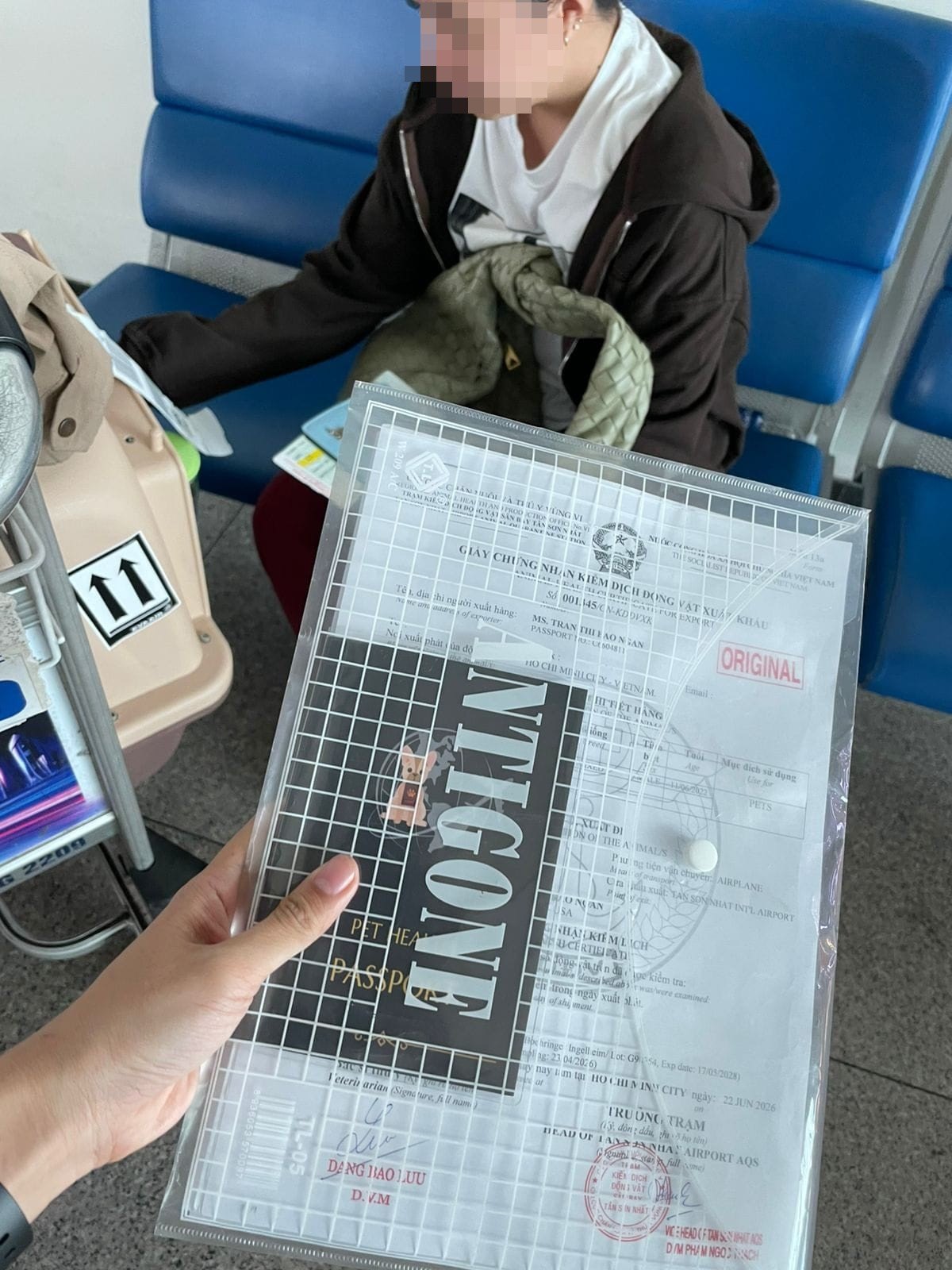 Daisy Pet preparing and handing over Pun's document package at Saigon airport