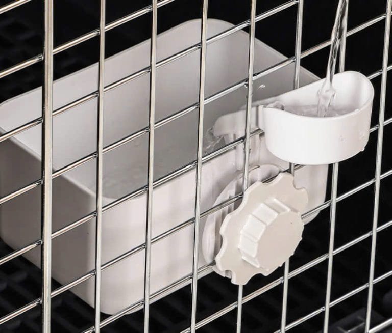 Water bowl clipped inside a crate door with a funnel for refilling from outside