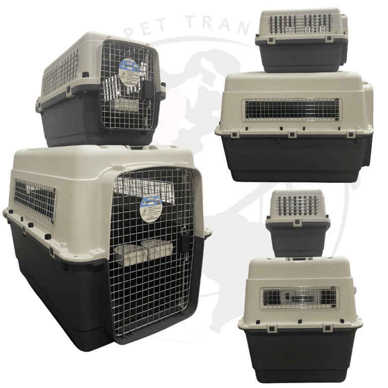 IATA pet crate shown from four sides, with ventilation openings on every side