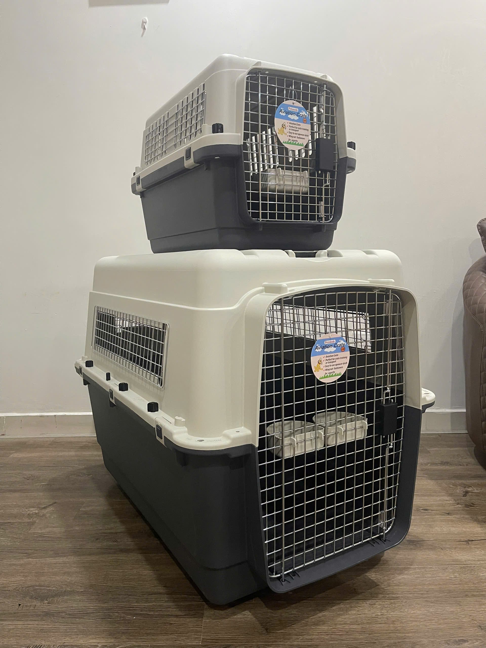 IATA-compliant travel crate in a cargo warehouse, the type of container involved when pets share a single crate