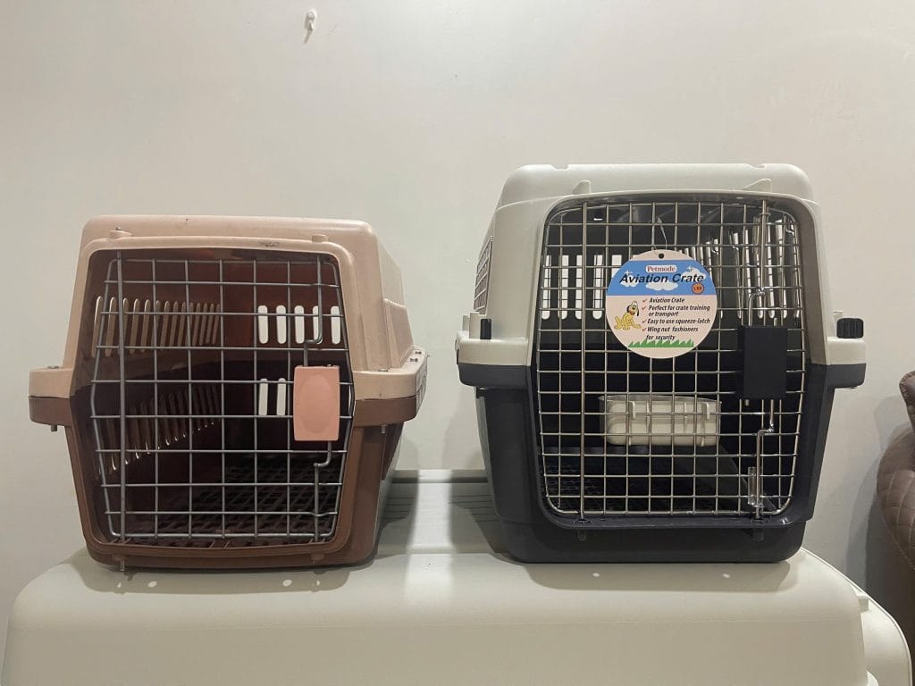 Airline-ready IATA crate next to a standard pet store crate, front view