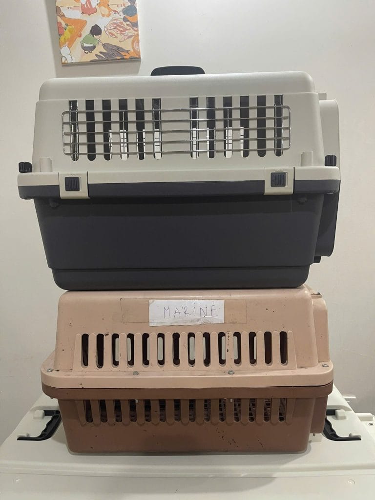 Side view of an IATA-compliant crate stacked on a standard pet store crate, showing where the vents sit