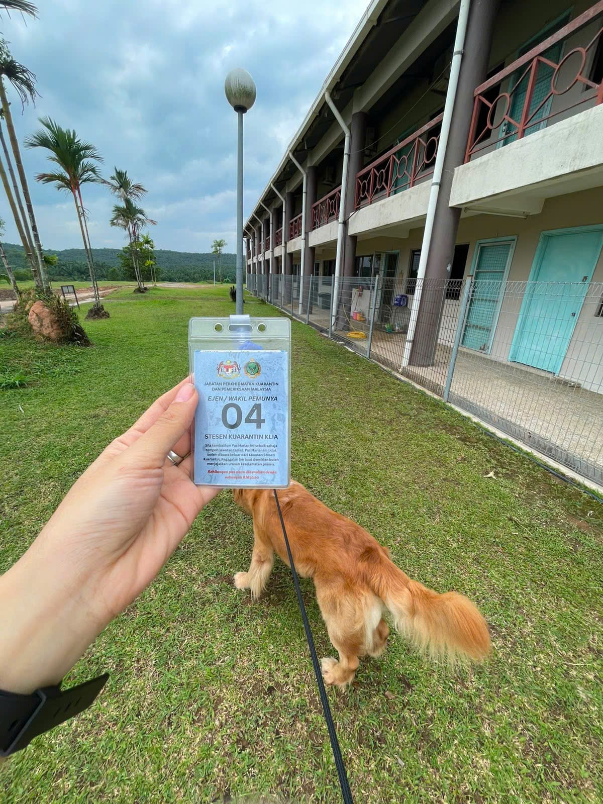 Daisy Pet's Malaysia agent badge for KLAQS quarantine station with Dou Dou in the quarantine yard