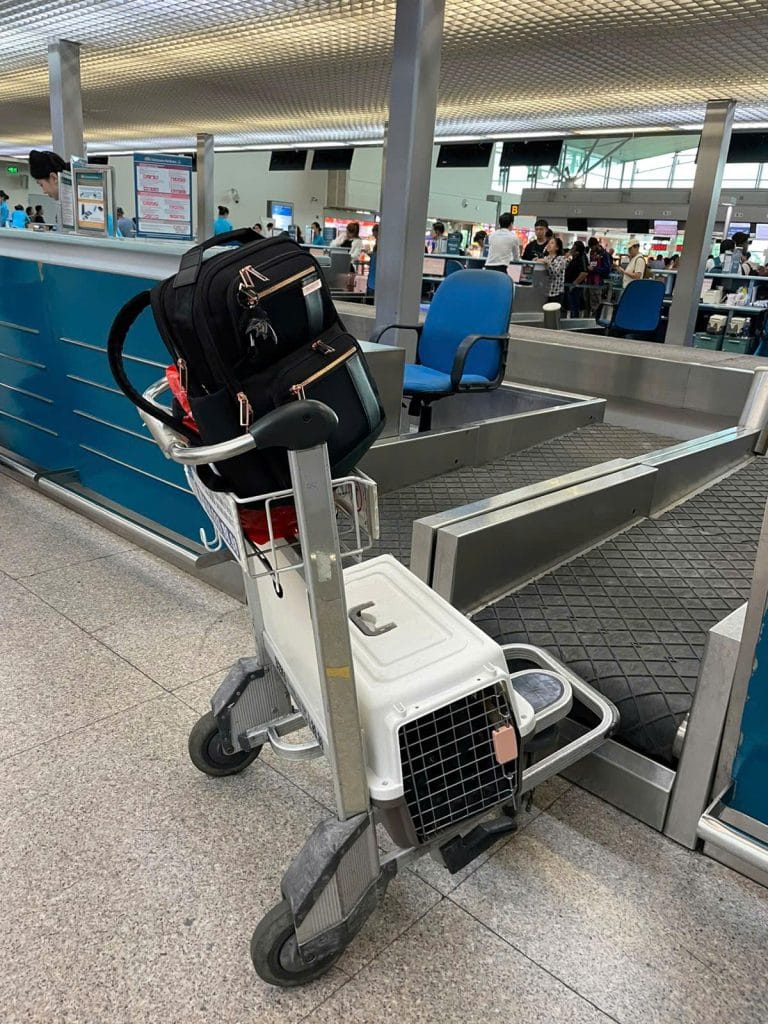 Pet travel crate on the airline baggage belt