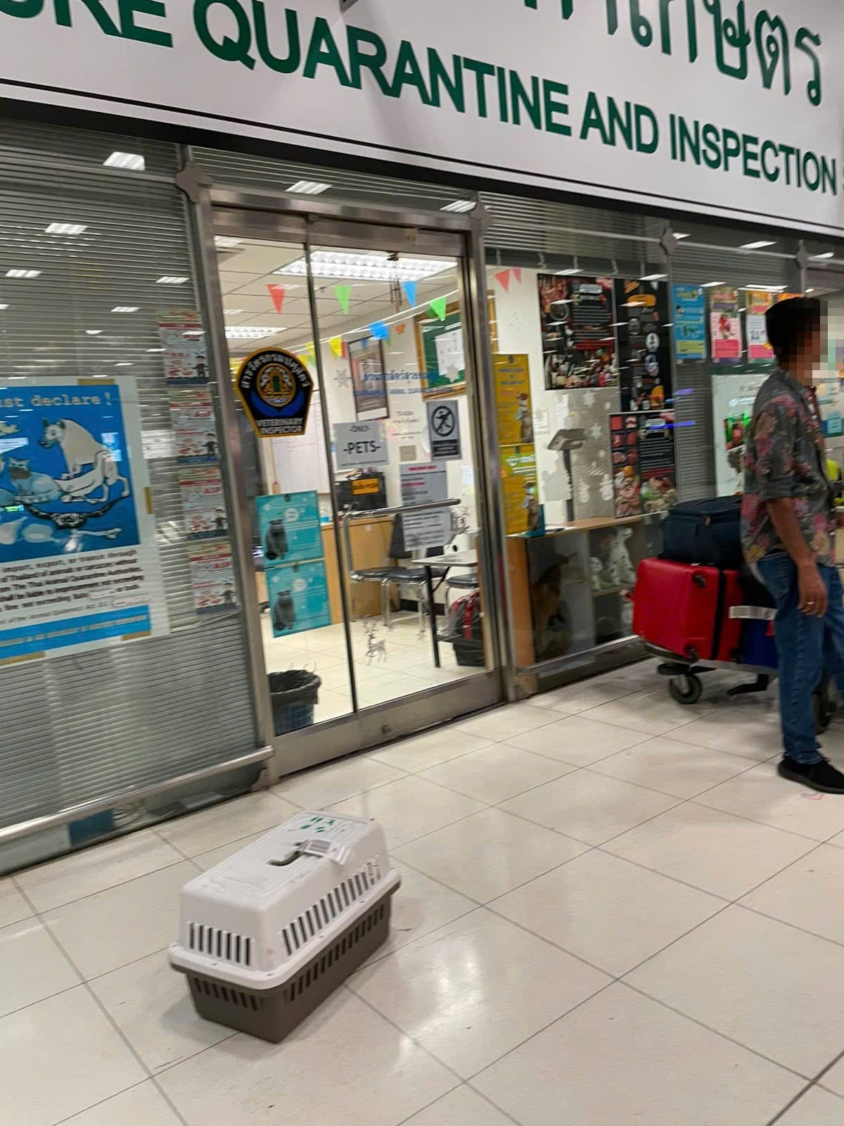 Pet crate at the animal quarantine office of a Thai airport after DLD Import Permit clearance