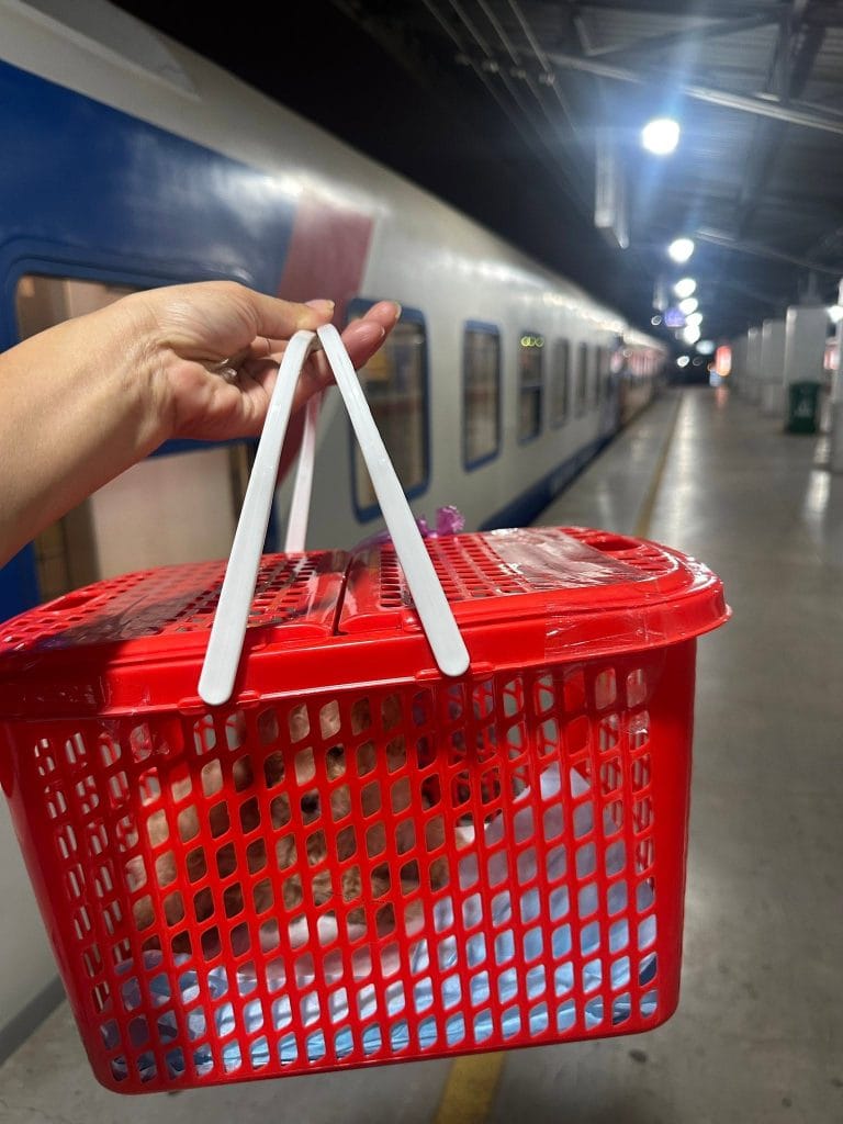 Thú cưng trong giỏ nhựa dán băng keo trên sân ga tàu hỏa