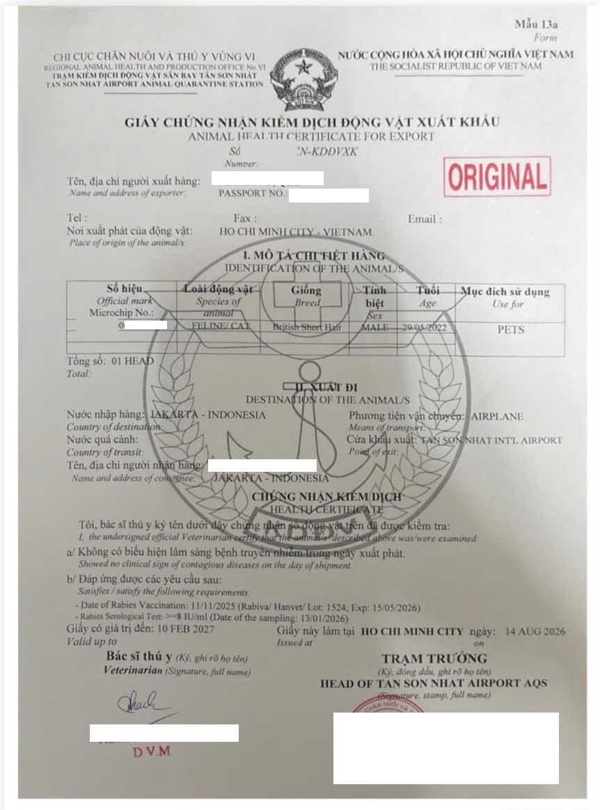 Vietnam animal health certificate for export, Form 13a, issued by Tan Son Nhat Airport Animal Quarantine Station for a cat