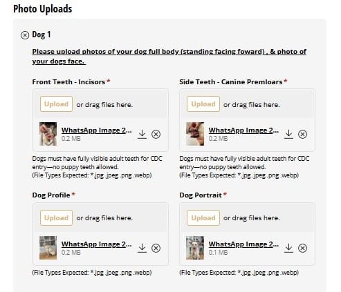 Rue's Kennels ACF reservation form - Photo Uploads step, teeth and profile photos