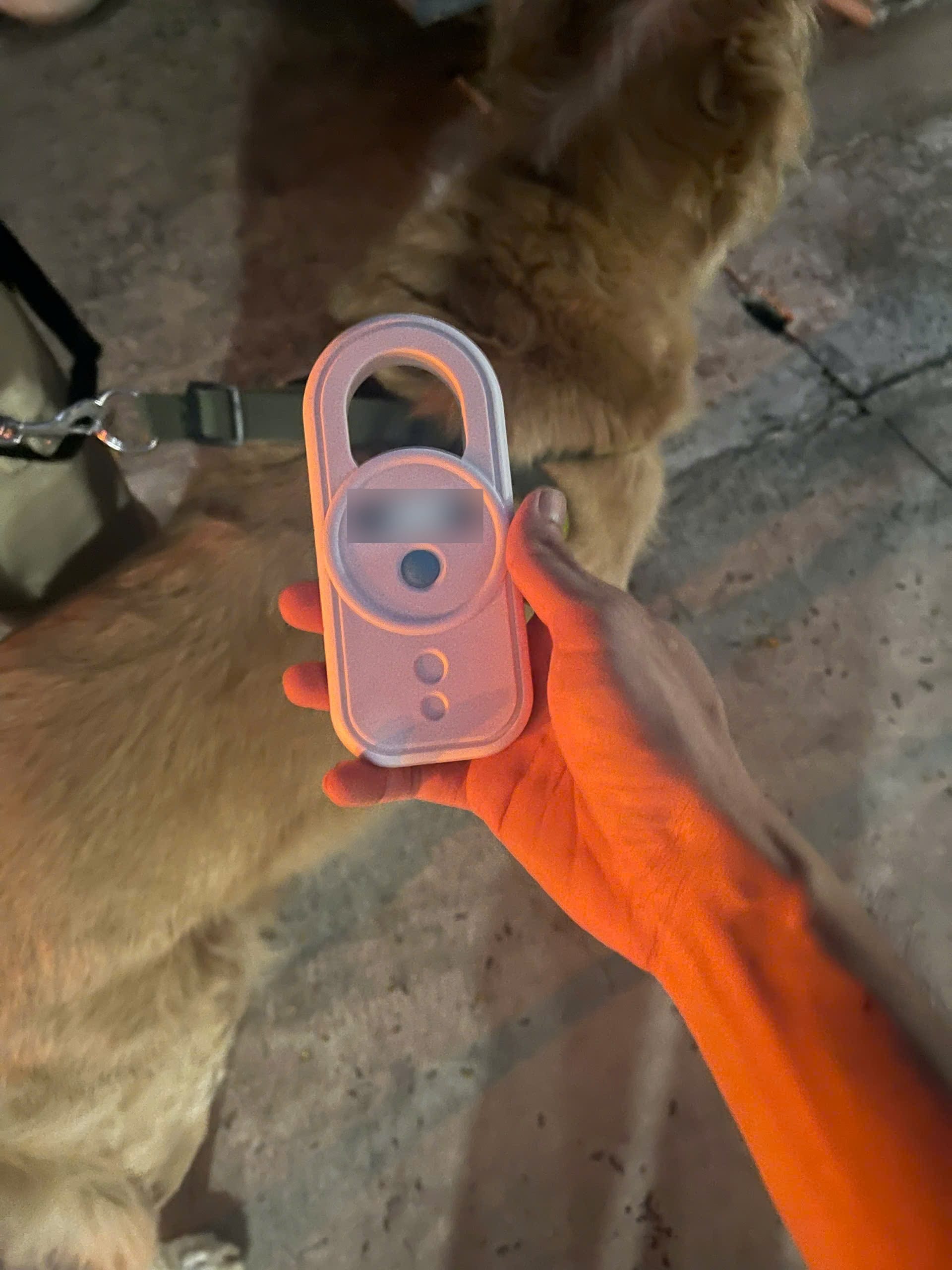 Vet scanning a dog's microchip, the first requirement for a Pet Passport in Malaysia