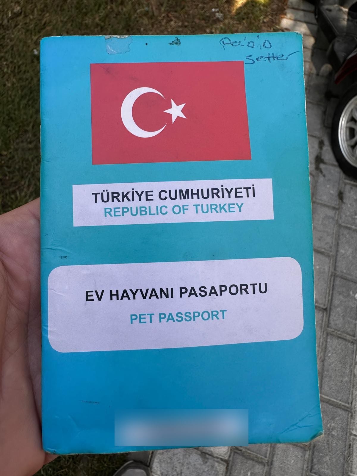 Turkish pet passport cover, one of the documents checked for Turkey pet import