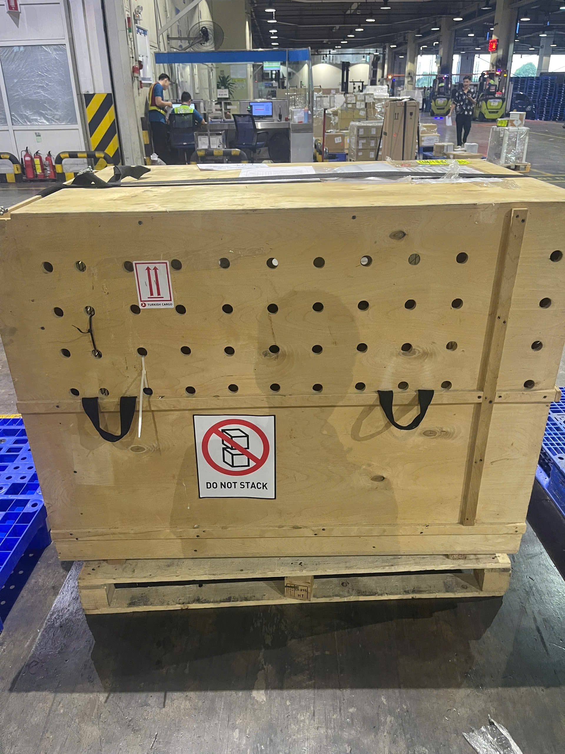 Wooden dog crate marked for live animal cargo with Turkish Cargo