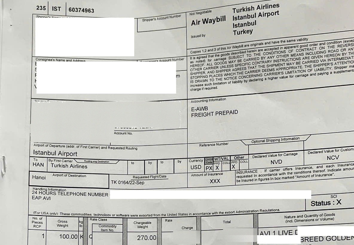 Air waybill for a live dog shipped as manifest cargo with Turkish Airlines